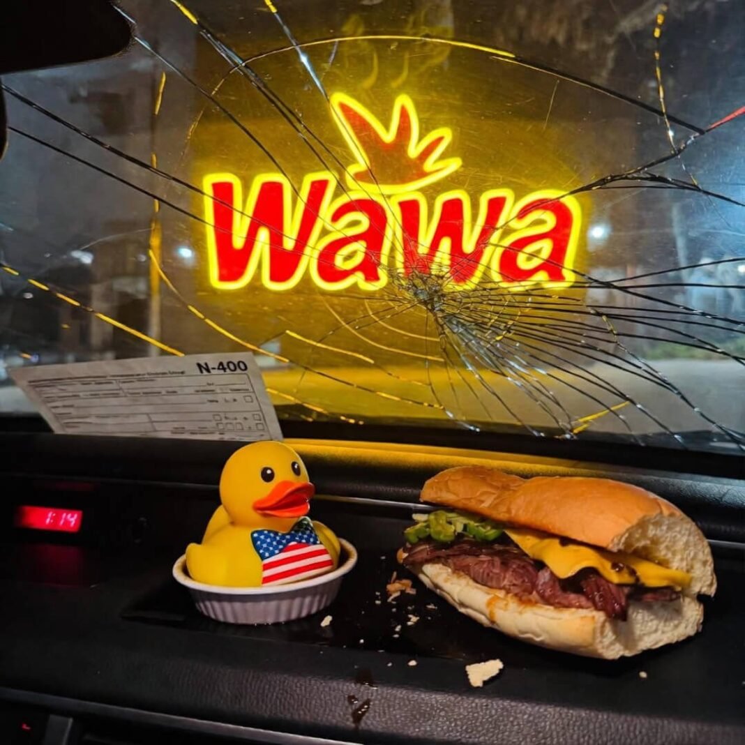Wawa neon, cracked glass, hoagie fleeing, duck drowning.